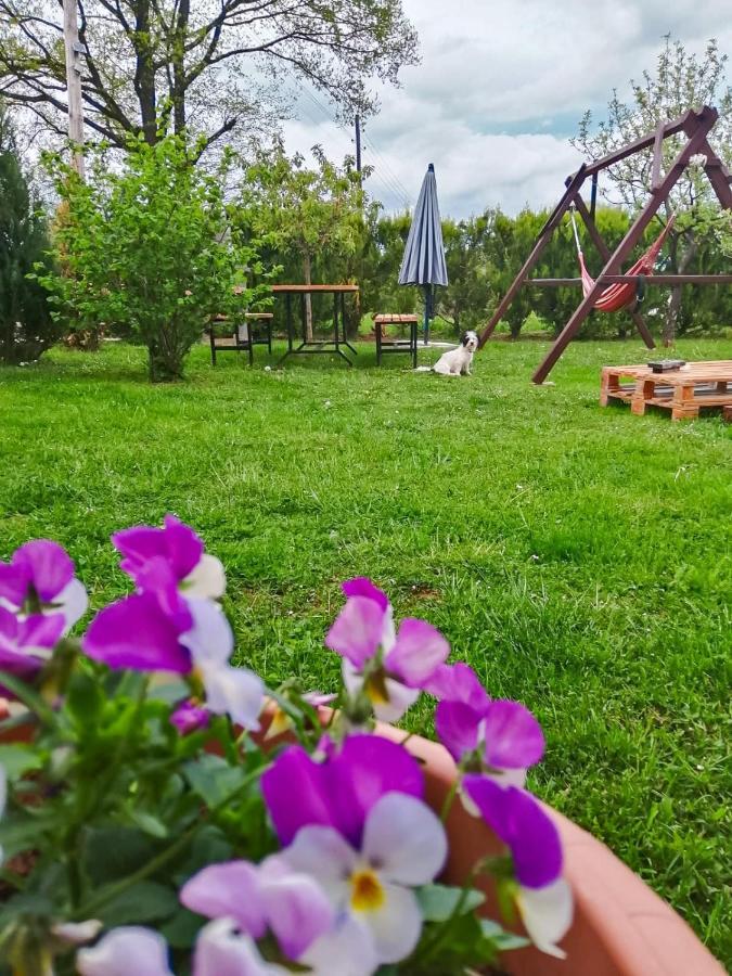 Gacka-Beautiful Place In Nature Otočac 外观 照片